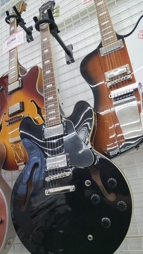 Epiphone dot 335 eb - es,