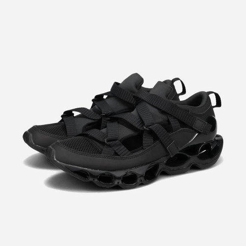 Mizuno wave prophecy - wave,