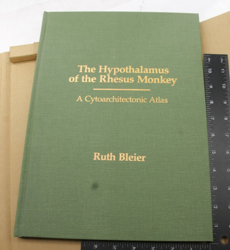Hypothalamus rhesus monkey - hypothalamus,