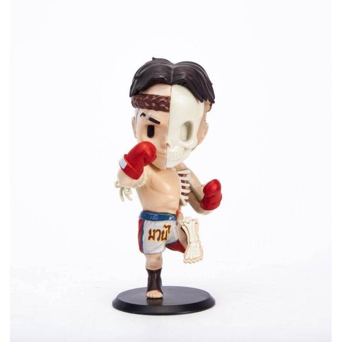 Boxer xxray muay thai rosso - muay,