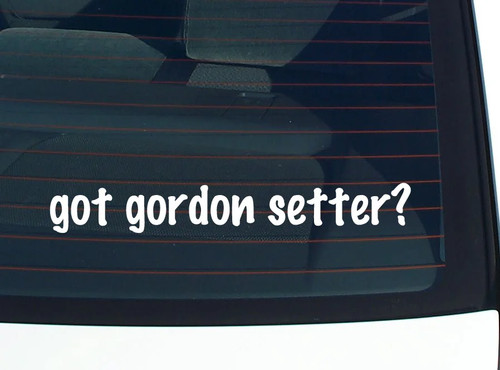 Got gordon setter - got,