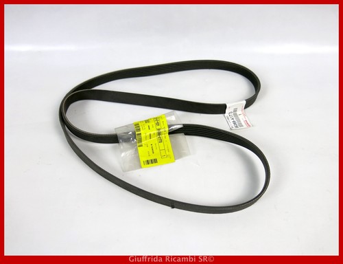 Cinghia servizi poly toyota - cinghia,