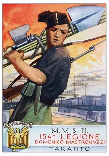 Cartolina post card - card, m.v.s.n