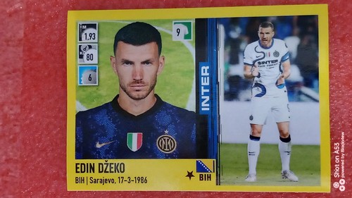 Figurine calciatori panini - figurine,