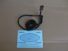 Statore magnete alternatore