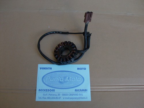 Statore magnete alternatore