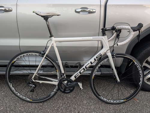 Focus izalco max - max, road