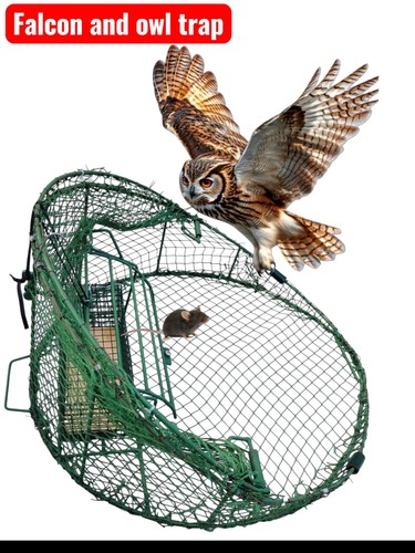 Trappola sicura per uccelli