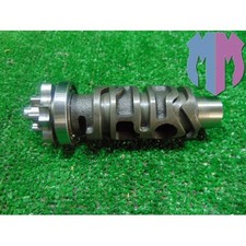 Desmodromico Triumph Tiger 800