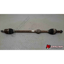 49501H8000 SEMIASSE SEMIALBERO