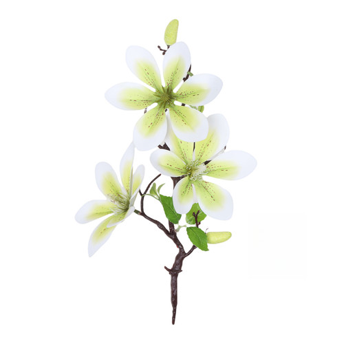 Bouquet magnolia seta - 3, teste