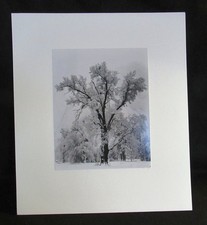 RARO ANSEL ADAMS FIRMATO