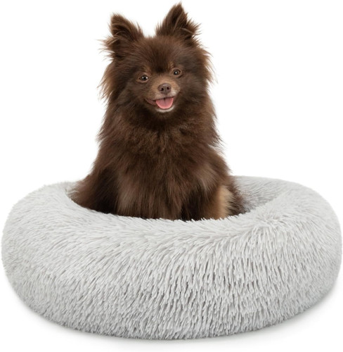 Letto per cani - cani, cuscino
