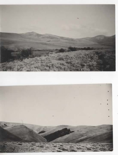Foto epoca bear canyon - d'epoca,