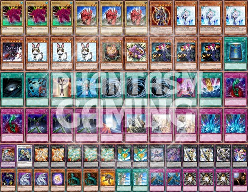 Dino rabbit deck - utopia, ray