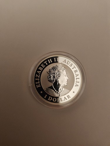 Moneta argento puro dollaro - argento, 1