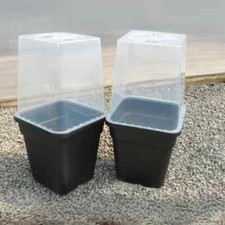 Set di vasi e cloches per