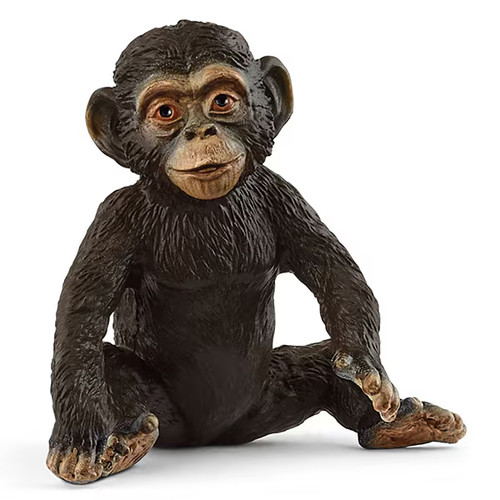 14884 wild life scimpanzé - 14884,