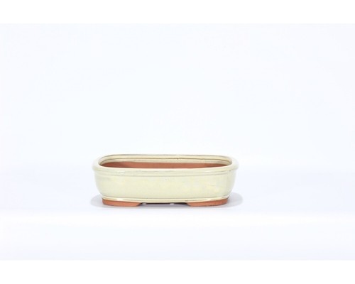 Vaso bonsai smaltato