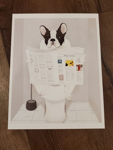 Bulldog francese cucciolo - bulldog,