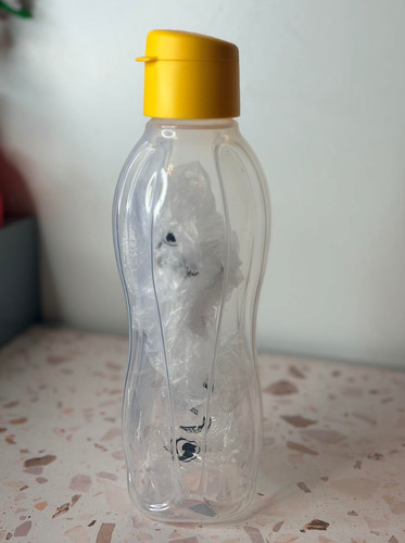 Tupperware bottiglia acqua - tupperware, eco