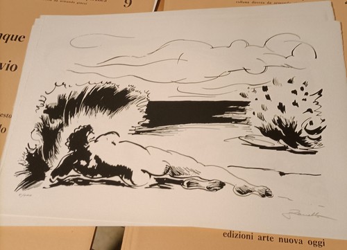 Serigrafie silvio zanella - serigrafie,