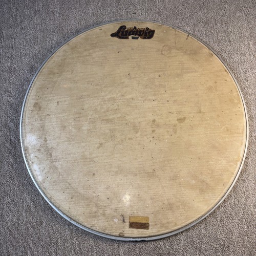 Testa batteria basso ludwig - testa,