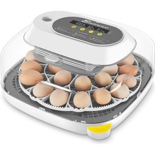 Incubatrice completamente