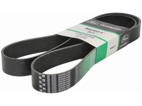 Cinghia trapezoidale per - cinghia, iveco