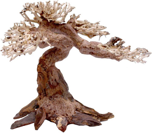 Legno oriental wind - legno, 5
