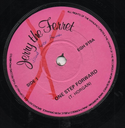 Jerry the ferret - jerry,