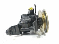 49110011900 pompa servosterzo