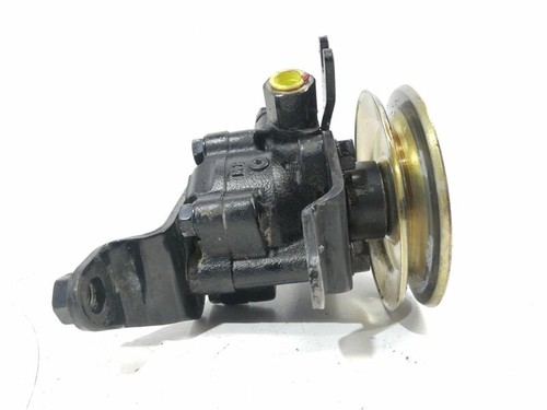49110011900 pompa servosterzo