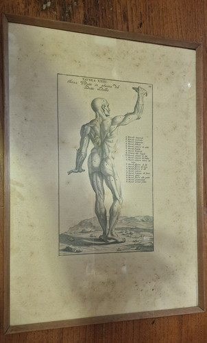 Stampa antica incisione - stampa:,