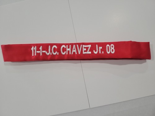 Julio cesar chavez 2008 - jr,