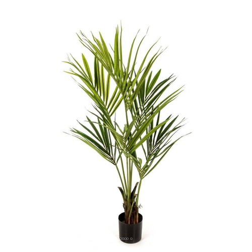 Palmier kentia artificiel - kentia,
