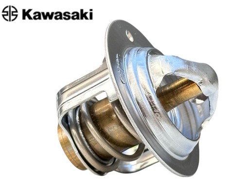 49054 0001 termostato valvola - 49054-0001,