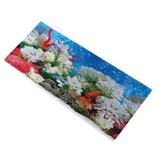 Adesivo Sbuccia e Bastone 42