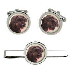 Bovaro Delle Fiandre Gemelli E