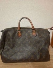 Borsa Louis Vuitton Boston