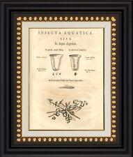 Ferdinando Marsili Bologna