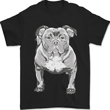 American Bully In Posizione