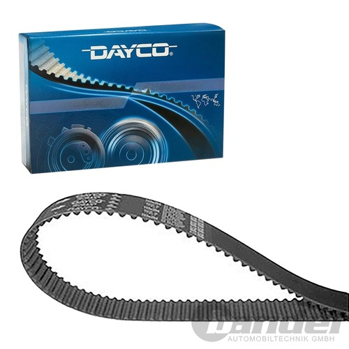 Dayco cinghia dentata adatta - cinghia,