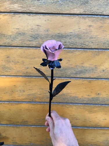 Rosa ferro battuto - rosa, in