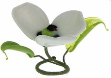 N.5 Bomboniera Segnaposto