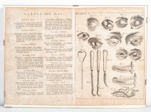 Stampa grafica 1715 - grafica,