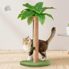 Cat Scratch Pull 60cm High