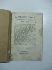 Il carbone fossile e' la