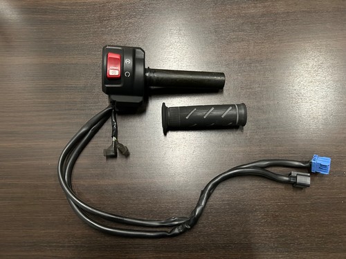 Acceleratore con pulsantiera - acceleratore,