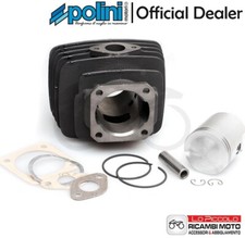 133 0072 gruppo - 133.0072, polini